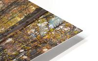Autumn Trails HD Metal print