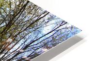 9DS 3303 HD Metal print