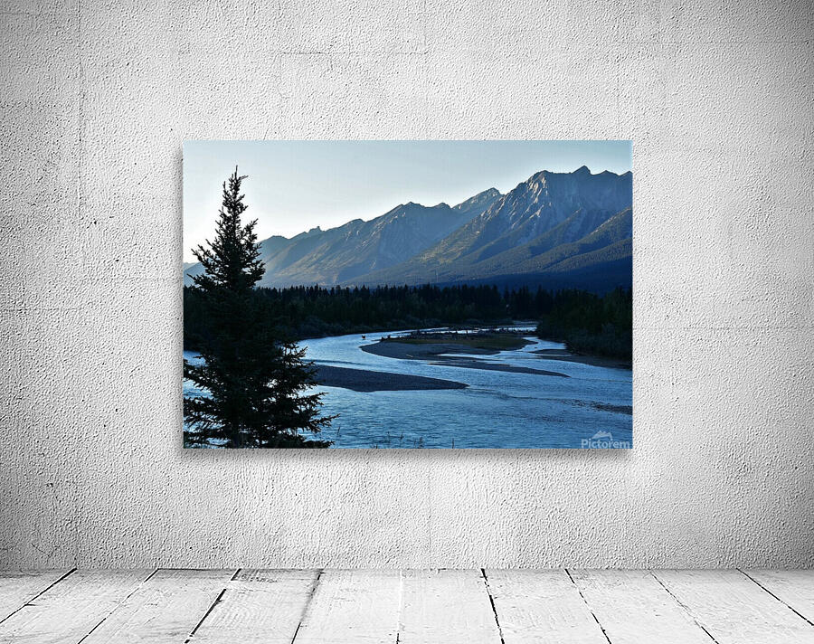 Elk Taking a Swim Wall Preview