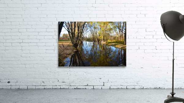 Tree Reflection Wall Preview