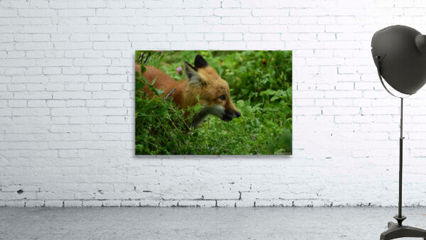 KM0 8861 Wall Preview