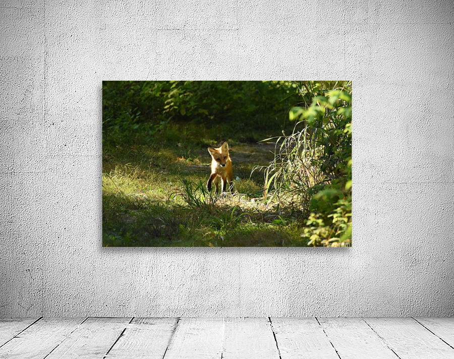 KM0 0189 Wall Preview