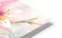 Delicate Blossom HD Metal print