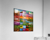 16bit Sections Acrylic Print