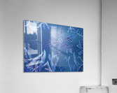 Frosty Window Acrylic Print