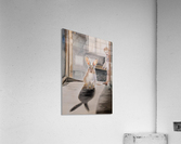 Amazement Acrylic Print