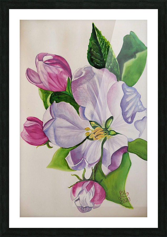 Appleblossom Picture Frame print