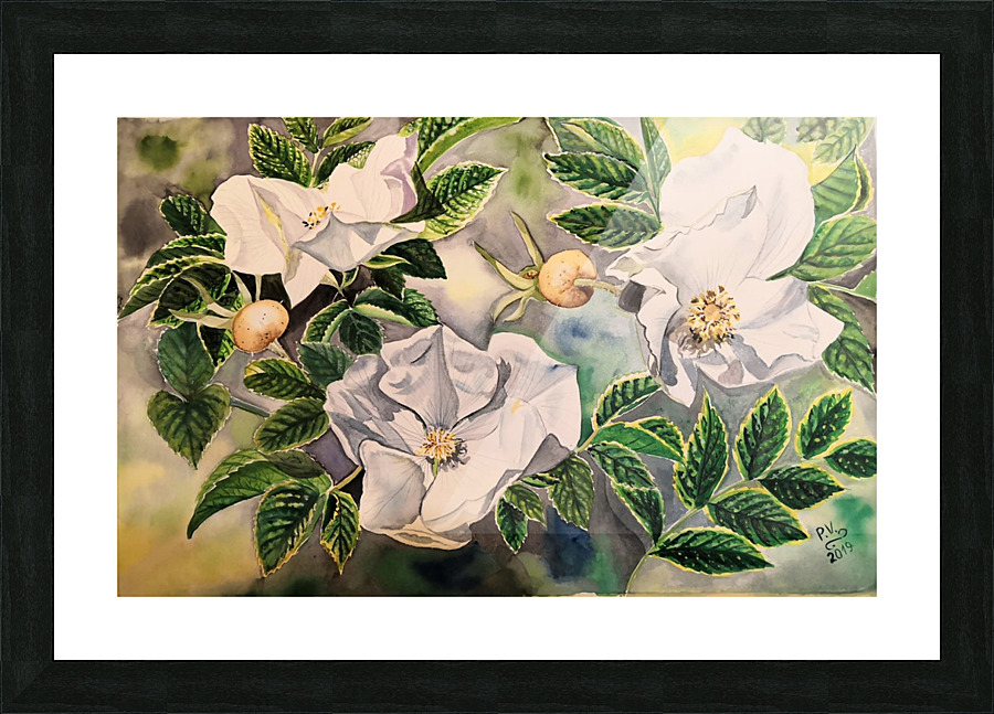 Wild Rose Picture Frame print
