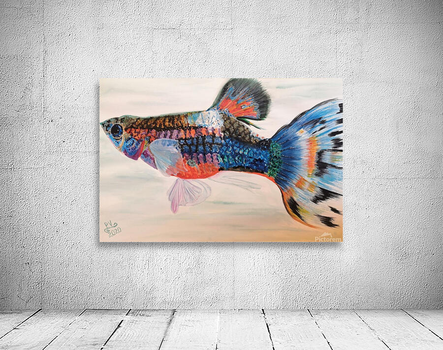 Guppy Wall Preview