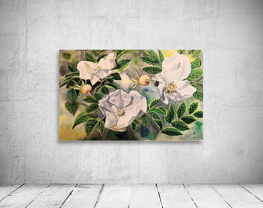 Wild Rose Wall Preview