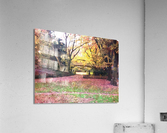 Central Park Fall Colors 2 Acrylic Print