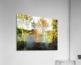 Reflections Acrylic Print