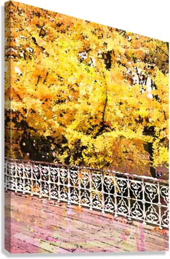 Central Park Fall Colors Canvas Print