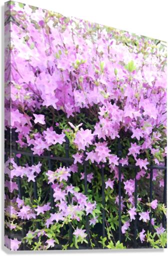 Pink Flowers Canvas Print