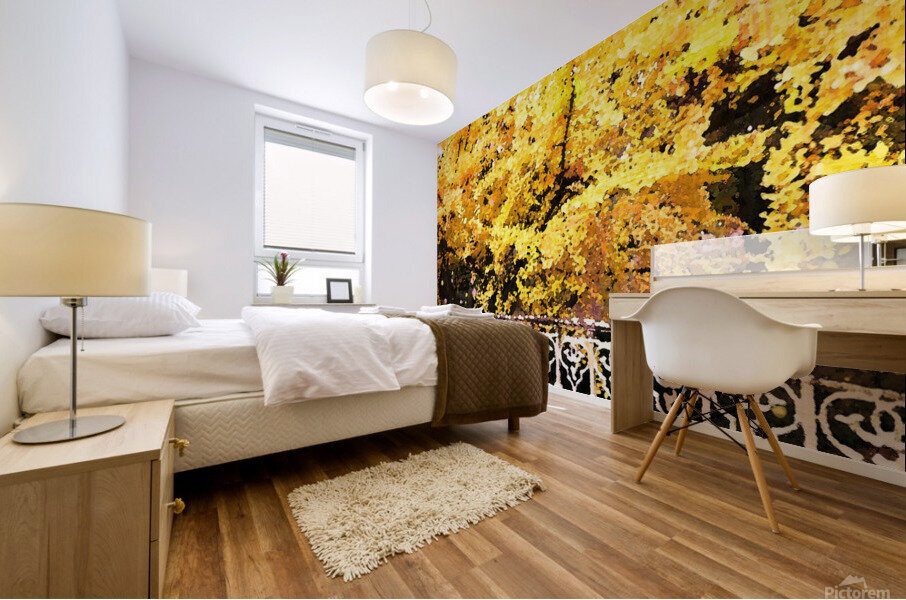 Central Park Fall Colors Mural print