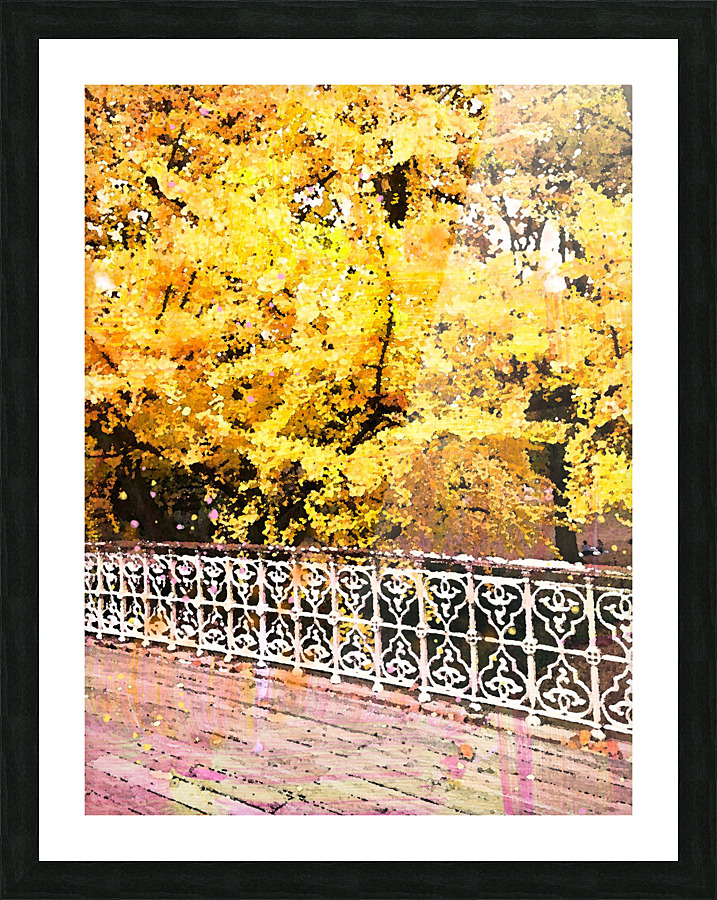 Central Park Fall Colors Picture Frame print