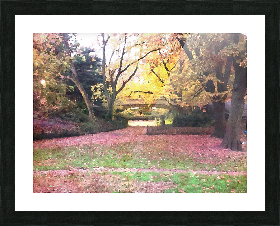 Central Park Fall Colors 2 Picture Frame print