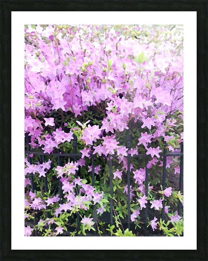 Pink Flowers Picture Frame print