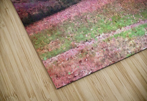 Central Park Fall Colors 2 Haley Marie puzzle