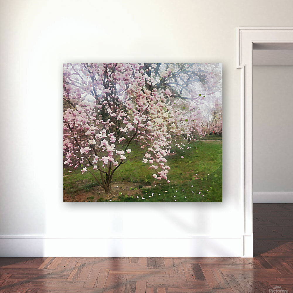 Cherry Blosssoms Reproduction