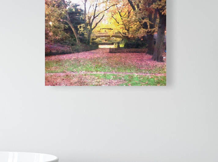 Central Park Fall Colors 2 by Haley Marie
