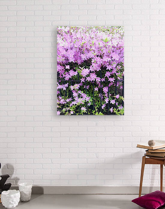 Pink Flowers by Haley Marie