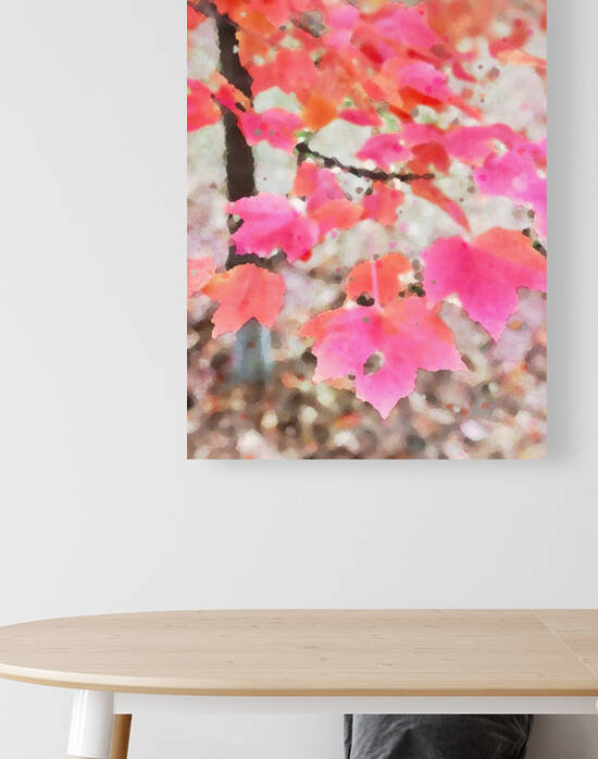 Fall Leaves of Central Park by Haley Marie