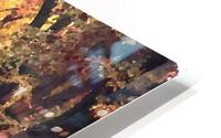 Central Park Fall Colors 2 HD Metal print