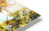Reflections HD Metal print