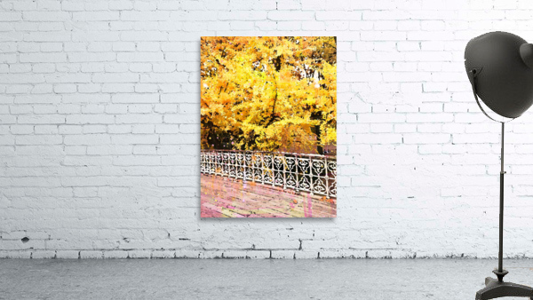 Central Park Fall Colors Wall Preview