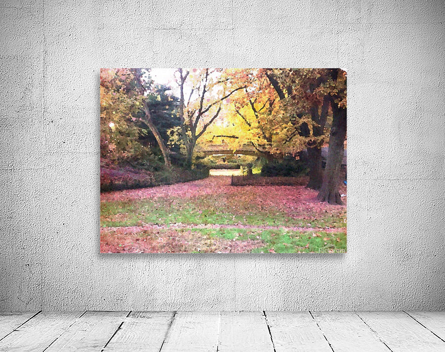 Central Park Fall Colors 2 Wall Preview