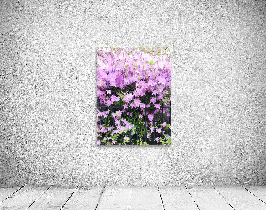 Pink Flowers Wall Preview