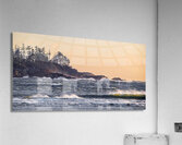 Untameable  Acrylic Print