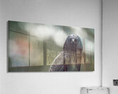 Watchful Eye  Acrylic Print