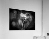 Wise Eye  Acrylic Print