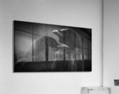 Crow Contemplation On A Rainy Afternoon  Acrylic Print