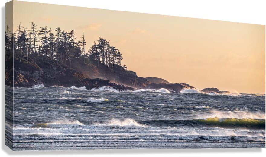 Untameable  Canvas Print
