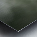 Watchful Eye  Metal print