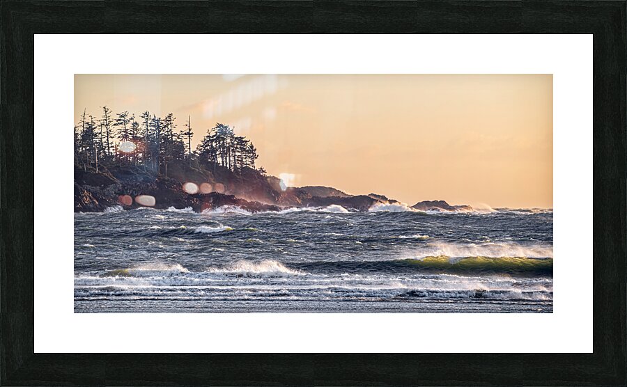 Untameable  Picture Frame print