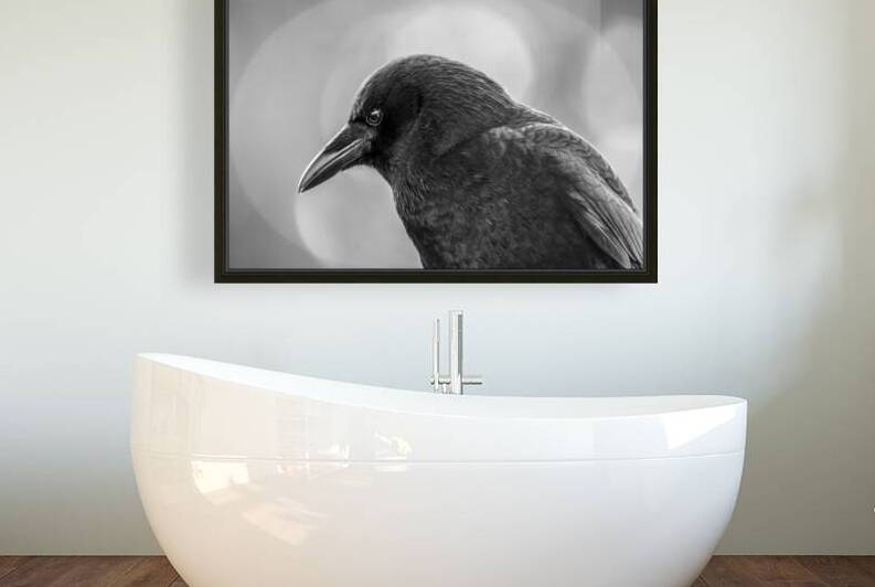 Circles Of Light Crow  by Devorah Reeves Photography