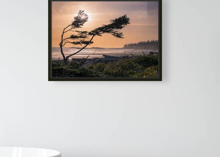 Tangerine Dream  by Devorah Reeves Photography