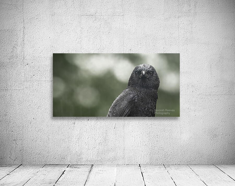 Watchful Eye  Wall Preview