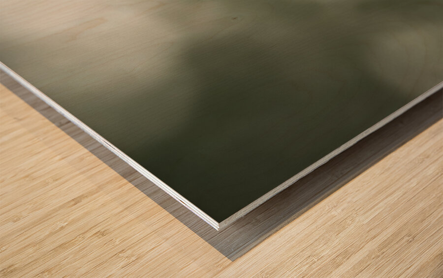 Watchful Eye  Wood print