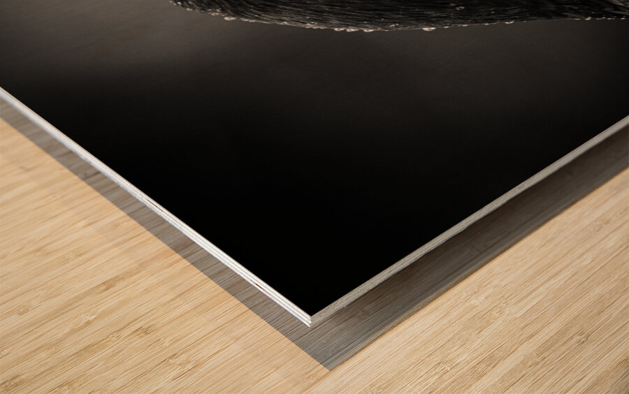 Crow Contemplation On A Rainy Afternoon  Wood print