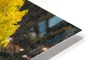 Glorious Colorado Fall HD Metal print