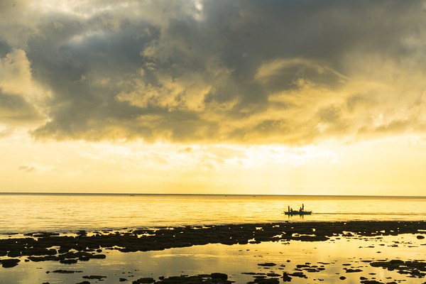 Golden Horizons Drift with the Tide Téléchargement Numérique