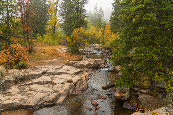 Upstream St Vrain Digital Download