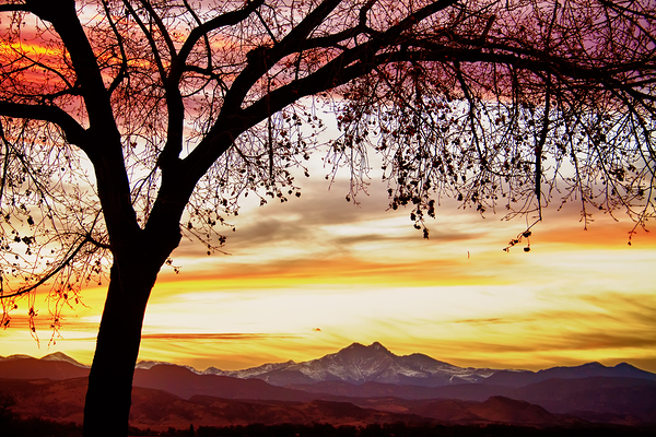 Colorado Sunset with Twin Peaks and Tree Silhouette Téléchargement Numérique