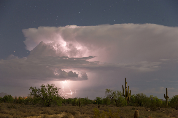 Power of The Desert Digital Download