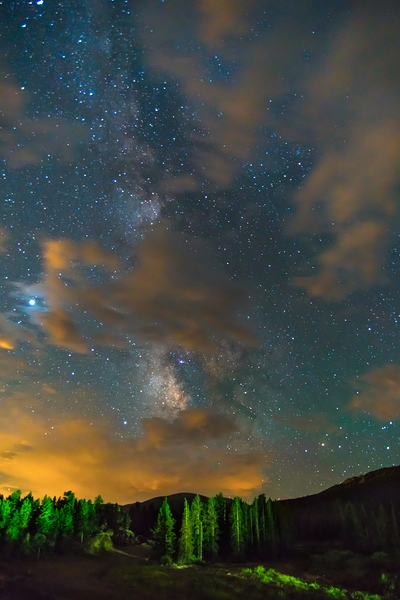 Forest In The Night Digital Download